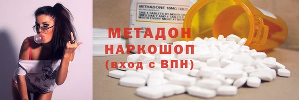 прущие грибы Корсаков