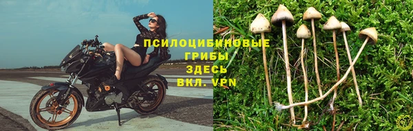 мет Коряжма