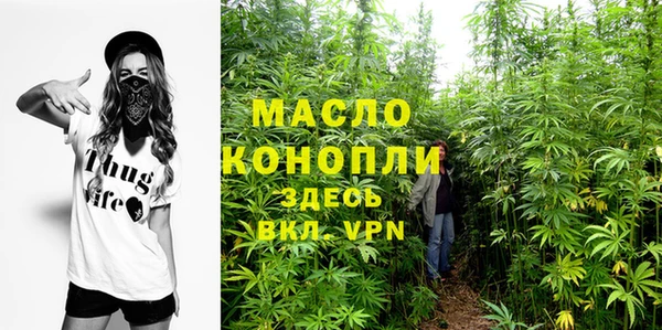 прущие грибы Корсаков