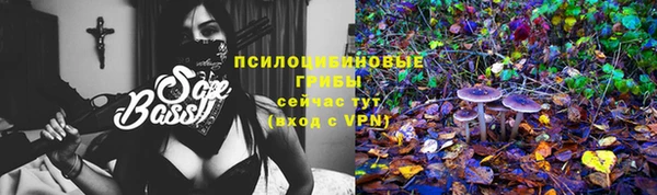 мет Коряжма