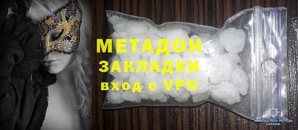 прущие грибы Корсаков
