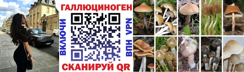 Галлюциногенные грибы Magic Shrooms  Клинцы 